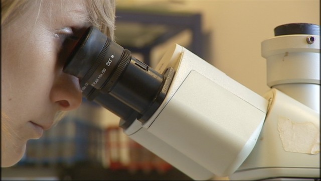 Université : thérapie cellulaire pour traiter l'asthme 