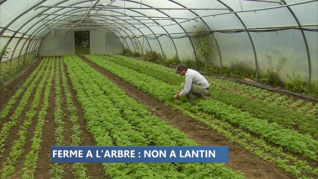 Extension de Lantin : une ferme bio en péril 