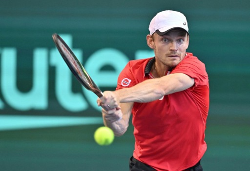 Tennis : David Goffin éliminé au deuxième tour à Lyon