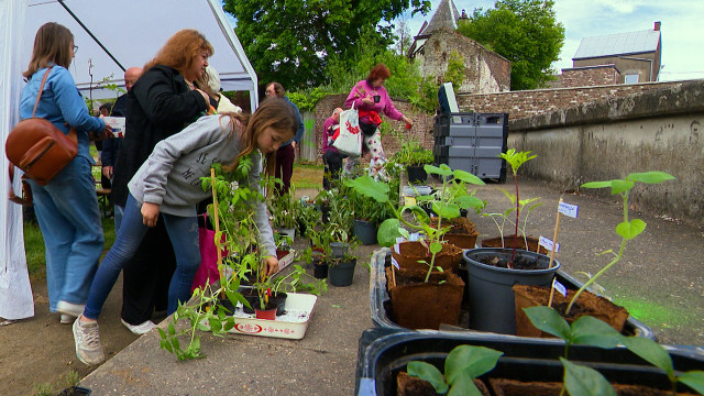 Amay : troc de plantes et de savoir pour jardiner solidaire 