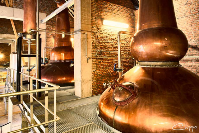 Covid19 : le whisky suspendu de la Owl Distillery  