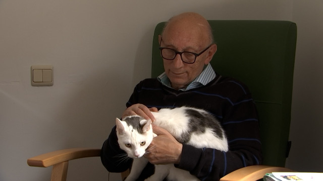 Home de Seny: un chat pour réconforter les résidents