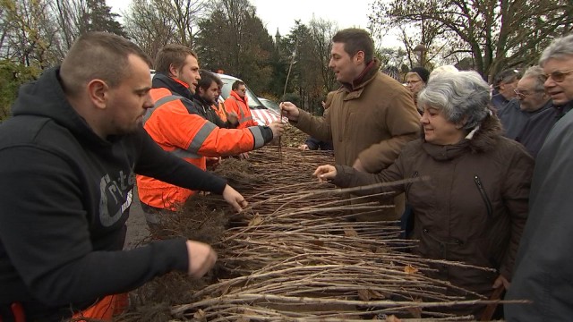La 35 ème distribution gratuite d'arbres en Wallonie