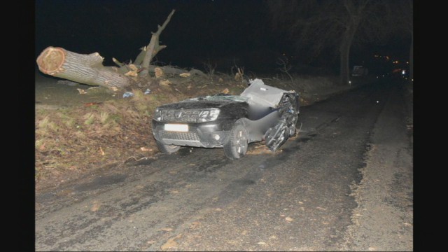 Un arbre tombe sur une voiture : deux morts à Dalhem 