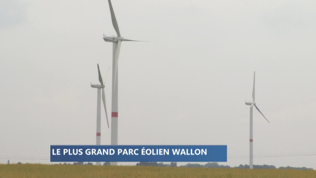 Villers-le-Bouillet : le plus grand parc d'éoliennes en Wallonie 