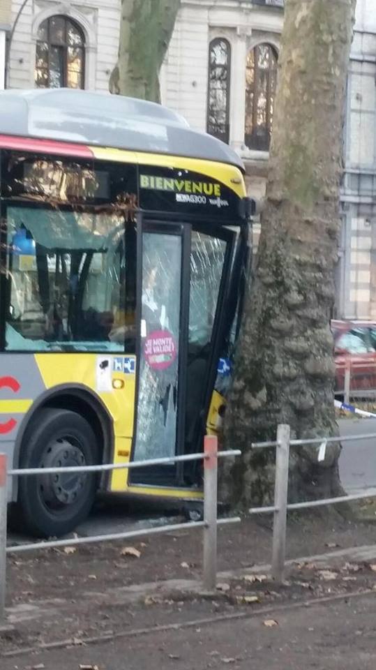 Un bus percute un arbre : une dizaine de blessés
