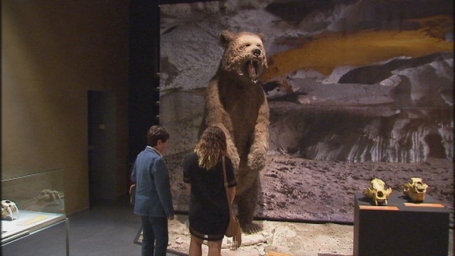 Préhistomuseum : Les géants de l'âge de glace jusqu'au 19 avril 
