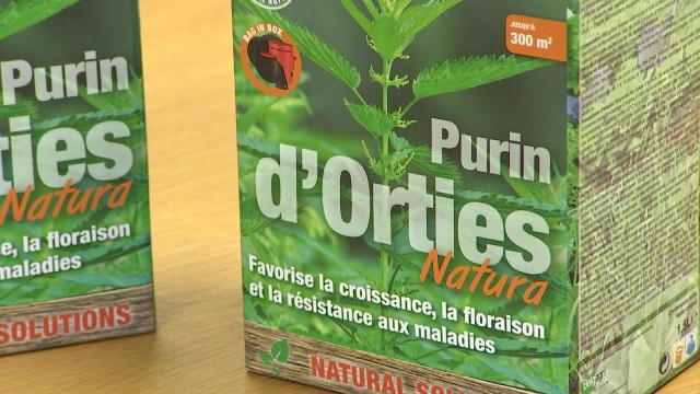 Le purin d'orties va être commercialisé en Belgique
