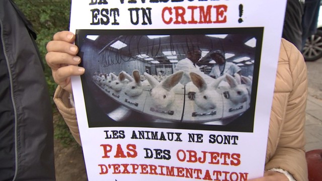 Ils manifestent contre l'expérimentation animale