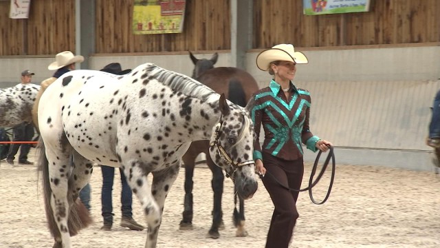 L'équitation western en vedette ce week-end à Awans
