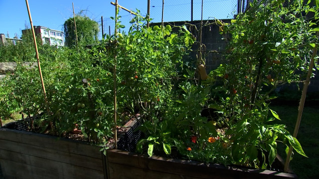 Un nouveau jardin communautaire à Kinkempois