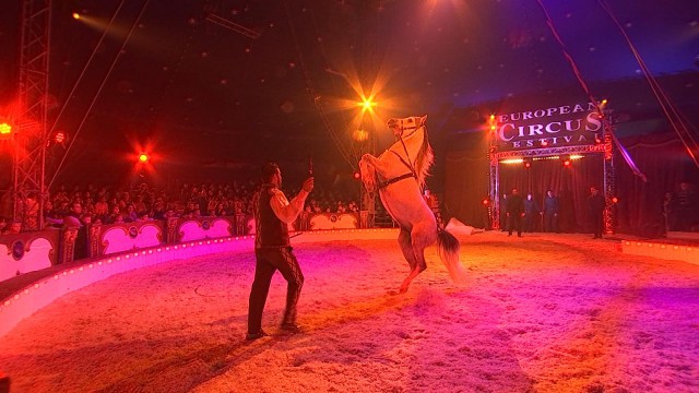 27ème Festival européen du Cirque