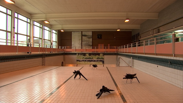 31 artistes contemporains font revivre la piscine de Hannut