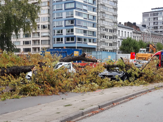 Chute de branche d'arbre à Liège, un blessé léger