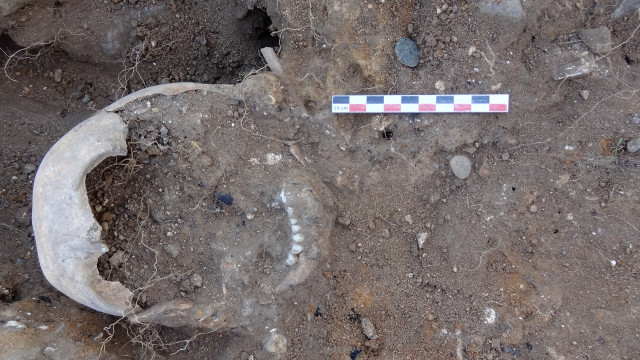 Des ossements d'enfant découverts au château de Moha