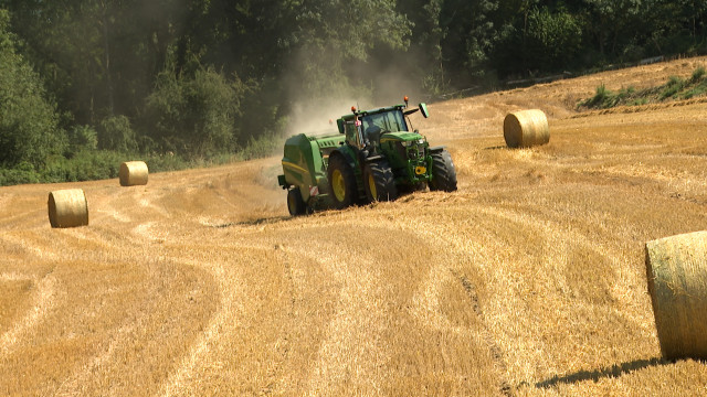 Entrepreneur agricole : le couteau-suisse des campagnes