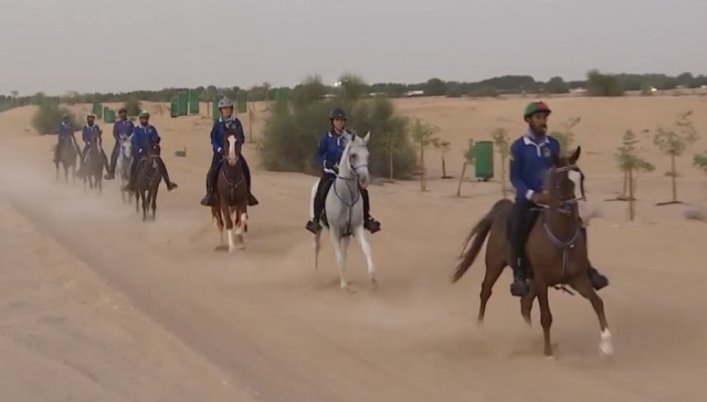 Expo Dubaï 2020: Expertise vétérinaire liégeoise pour les chevaux