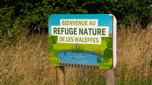 Faimes: Un refuge nature au coeur de Les Waleffes