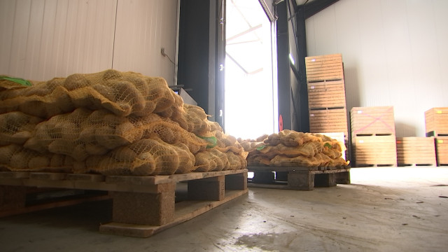 Geer : des tonnes de pommes de terre pour l'aide alimentaire