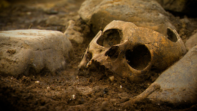 Herstal : des squelettes d'enfants, place Licourt