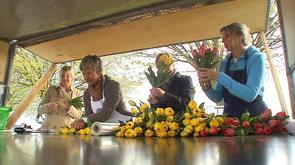 Fléron : le Rotary vend des tulipes