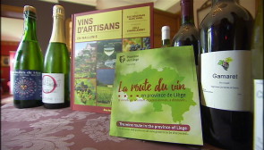 Route du vin en province de Liège: une carte répertoriant 19 artisans viticulteurs