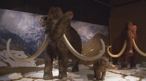Géants de l' âge de glace au Préhistomuseum