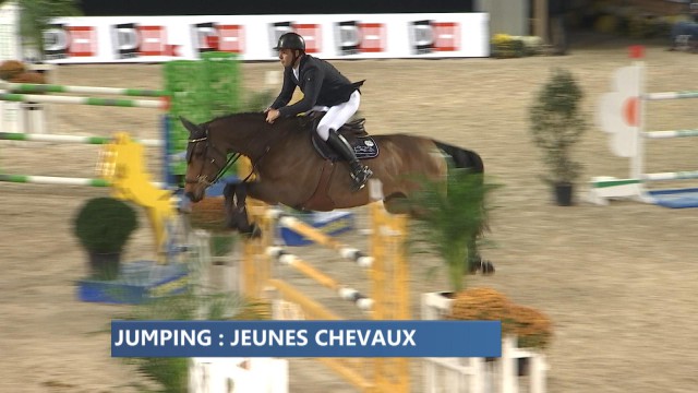 Jumping de Liège : la compétition des jeunes chevaux 