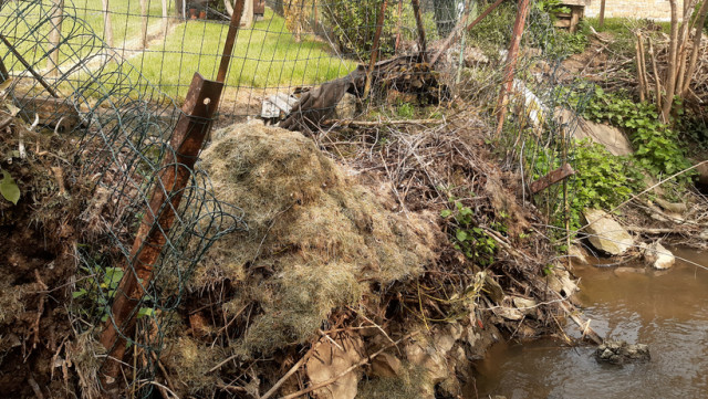 L'été de nos rivières: les déchets verts véritables nuisances