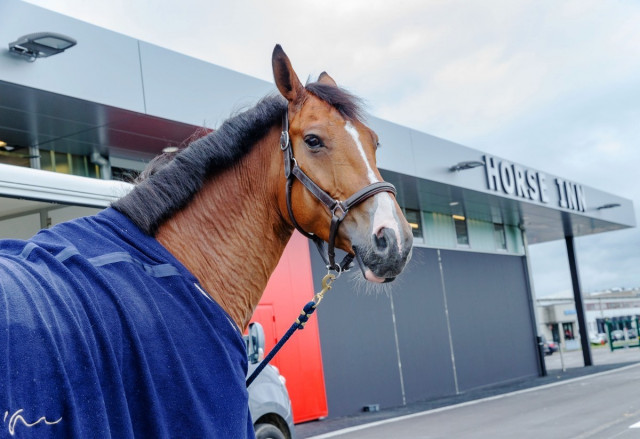 Les meilleurs chevaux du monde en transit à Liège Airport