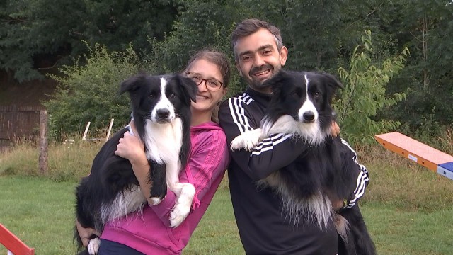Oreye : un couple et ses chiens préparent un championnat d'agility 