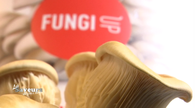 Saveurs de chez nous : Fungi Up