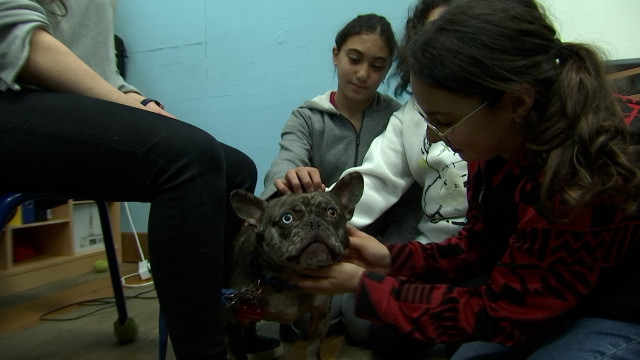 Sensibilisation au bien-être animal dans les écoles de la ville de Liège