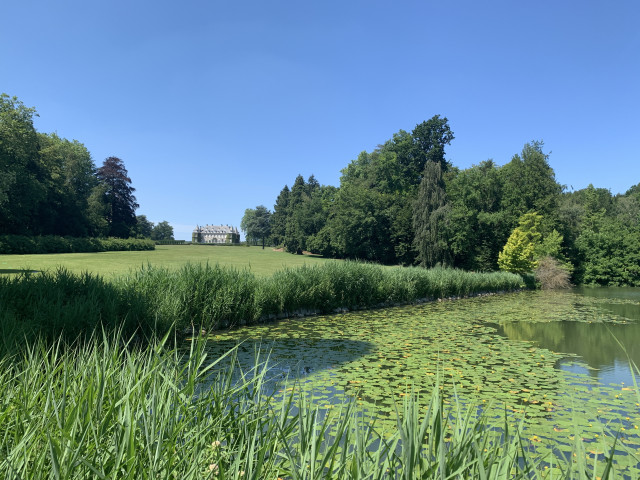 Vu du Ciel : les plus beaux parcs de Wallonie